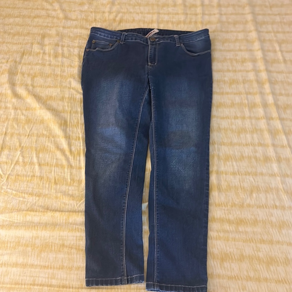 Folded & Hung Skinny Jeans Plus Size